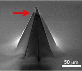 An electrochemical interstitial fluid sensing region may be seen at the tip of this polymeric microneedle